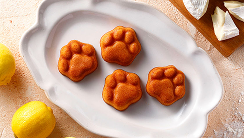 2024 人氣東京伴手禮＿neko chef 「肉球費南雪」