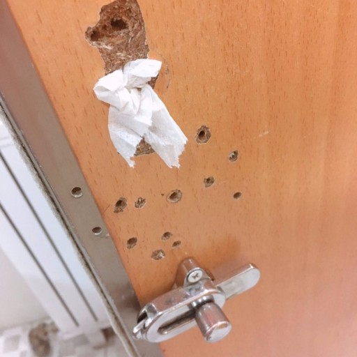 韓國自由行｜韓國廁所