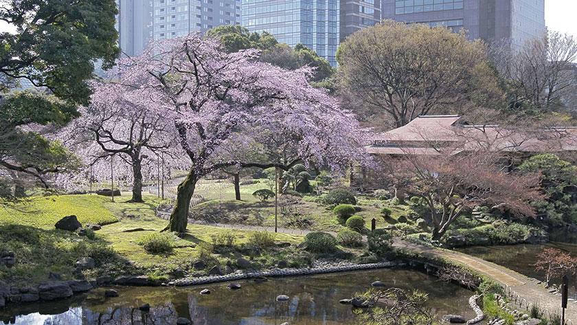 世界棒球 12 強》中華隊前進東京啦！賽程、交通、推薦球場美食＆周邊景點一次看 看完比賽還能泡溫泉