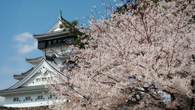 福岡 小倉城（source: kids cham）