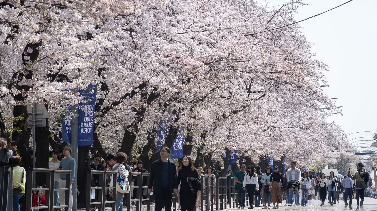 首爾 汝矣島漢江公園（source: The Seoul Research Data Service）